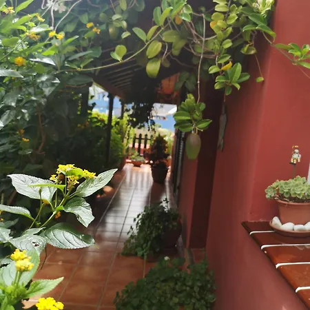 Kır Evi La Victoria Tegueste