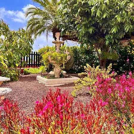 La Victoria 特格斯特