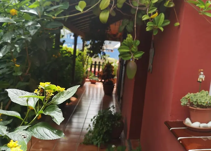 Casa rural La Victoria Tegueste